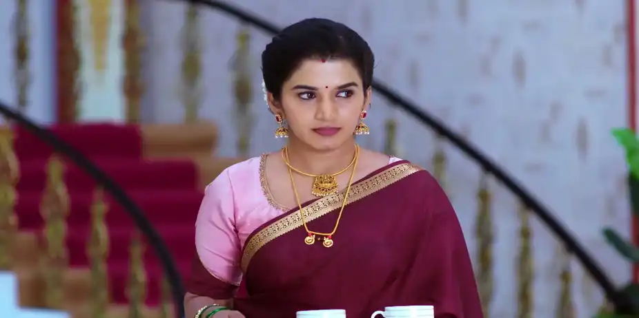 Doubts Rise in Suryaprakash’s Mind - Krishna Rukku