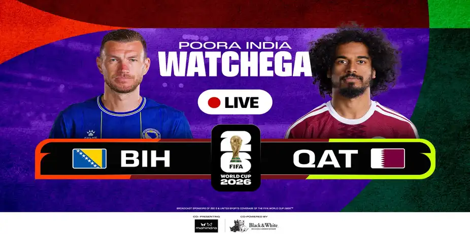 Bosnia and Herzegovina Vs Qatar