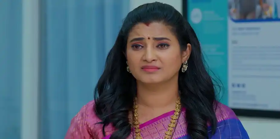 Meghasandesam - June 10, 2026 - Best Scene