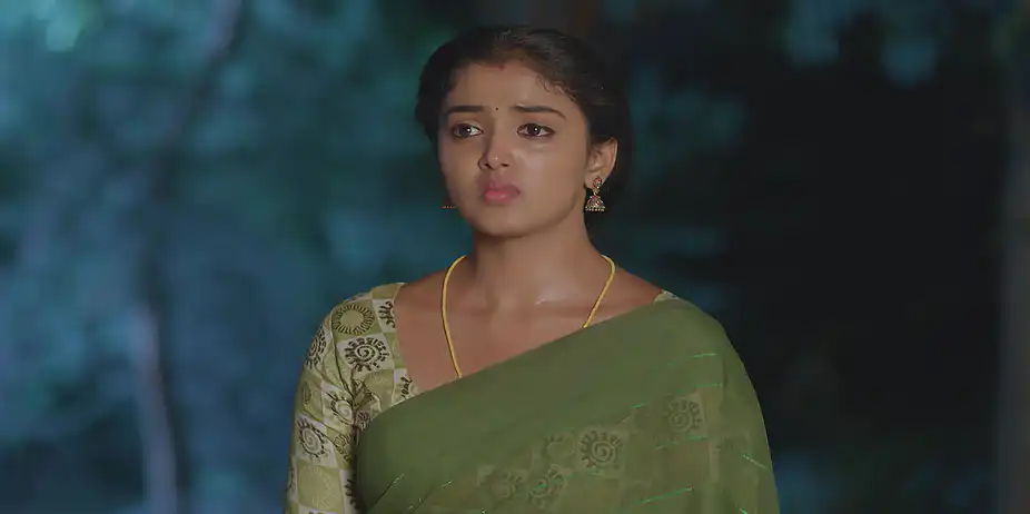 Meghasandesha - 11 June, 2026