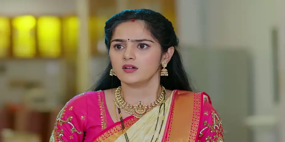 Ummadi Kutumbam - June 17, 2026 - Episode Spoiler