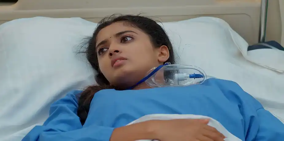 Meghasandesam - June 16, 2026 - Episode Spoiler