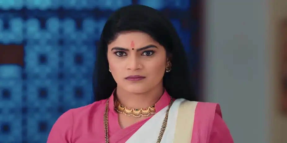 Lakshmi Niwas - June 23, 2026 - Best Scene