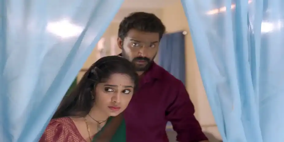 Ayali - June 23, 2026 - Best Scene