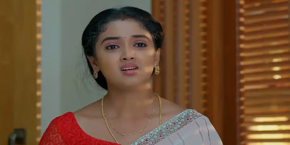 Meghasandesam - June 25, 2026 - Best Scene