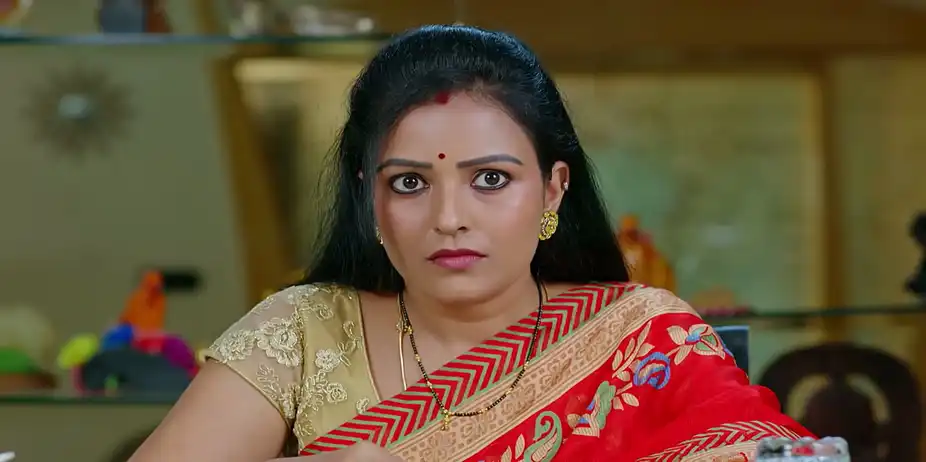 Dheerga Sumangali Bhava - June 29, 2026 - Episode Spoiler