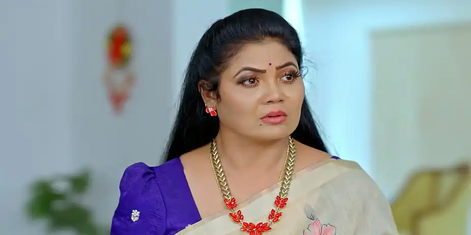 Dheerga Sumangali Bhava - June 25, 2026 - Episode Spoiler