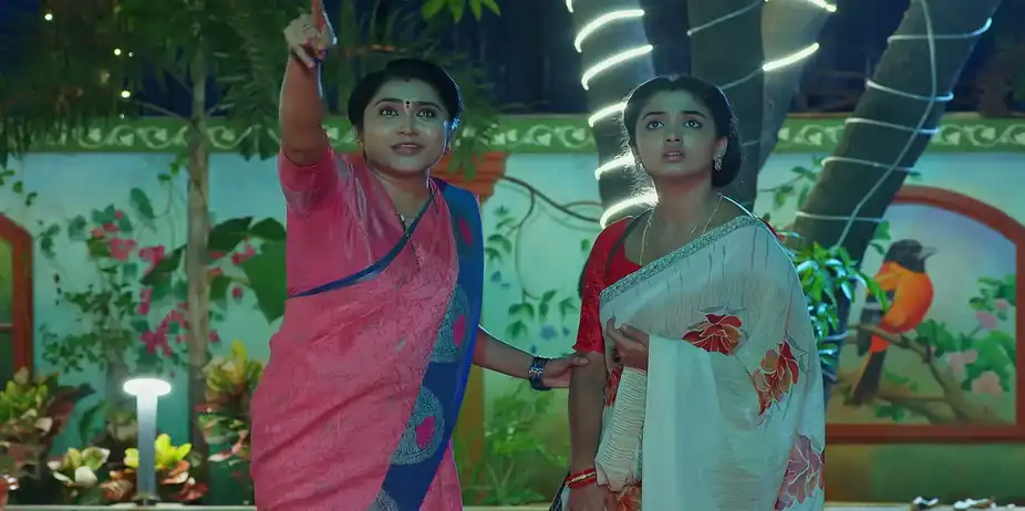 Meghasandesam - June 26, 2026 - Episode Spoiler