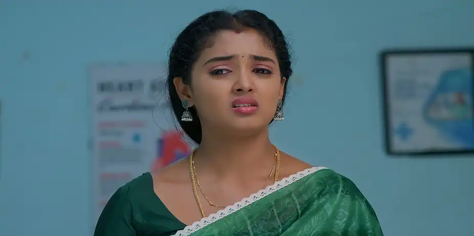 Meghasandesam - June 29, 2026 - Episode Spoiler