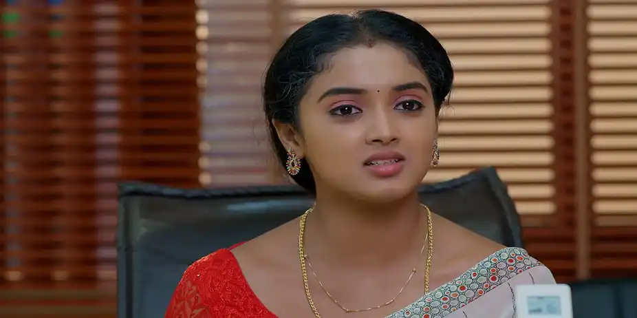 Meghasandesam - June 24, 2026 - Episode Spoiler