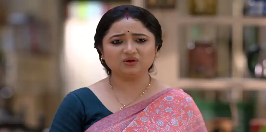 Aditya Brings Jalebis for Pallabi's Family - Kamala Nibas