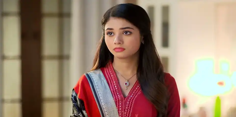 Ranjini's Command to Shaon - Saat Pake Bandha