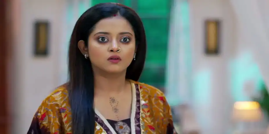 Bhanu Splurges at a Bar - Jowar Bhanta