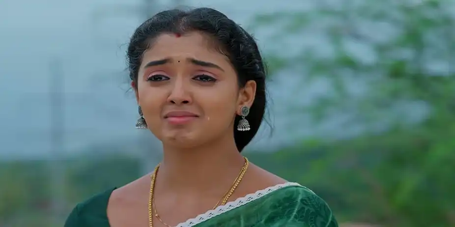 Meghasandesam - July 01, 2026 - Episode Spoiler