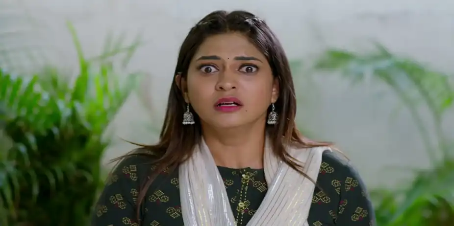Nindu Noorella Saavasam - July 01, 2026 - Episode Spoiler