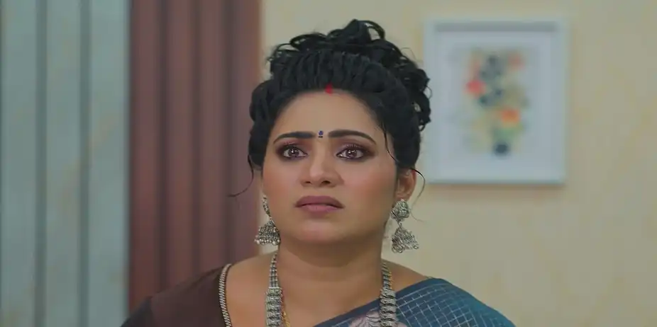 Meghasandesha - July 06, 2026 - Episode Spoiler