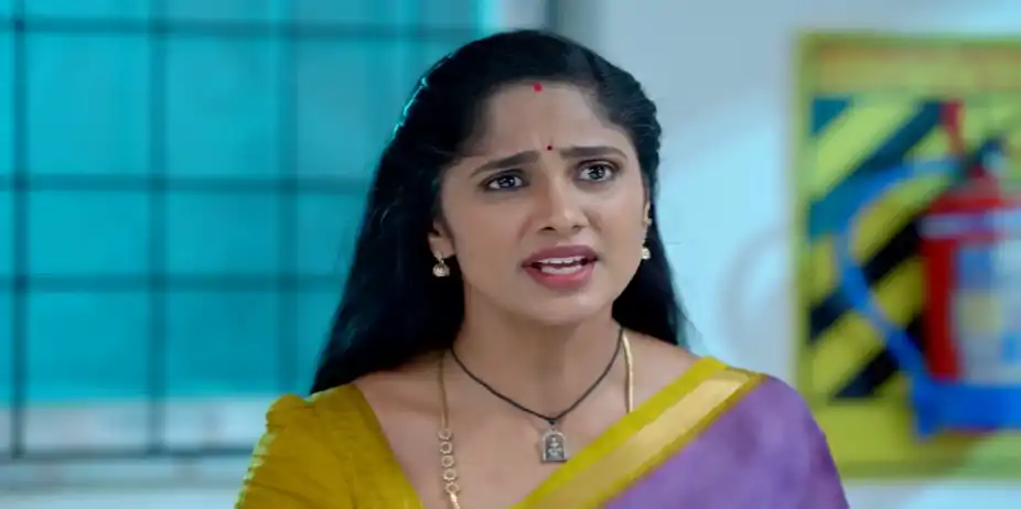 Ayali - June 29, 2026 - Best Scene