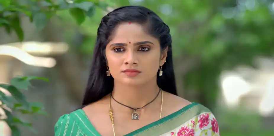 Ayali - July 02, 2026 - Best Scene
