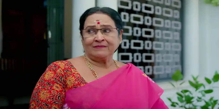 Devanarayanan Humiliates Muthassi - Snehapoorvam Shyama
