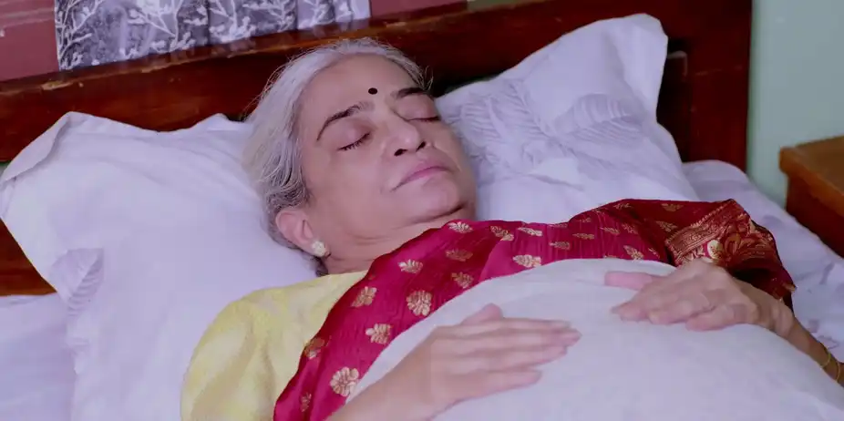 Lakshmi Niwas - July 11, 2026 - Episode Spoiler