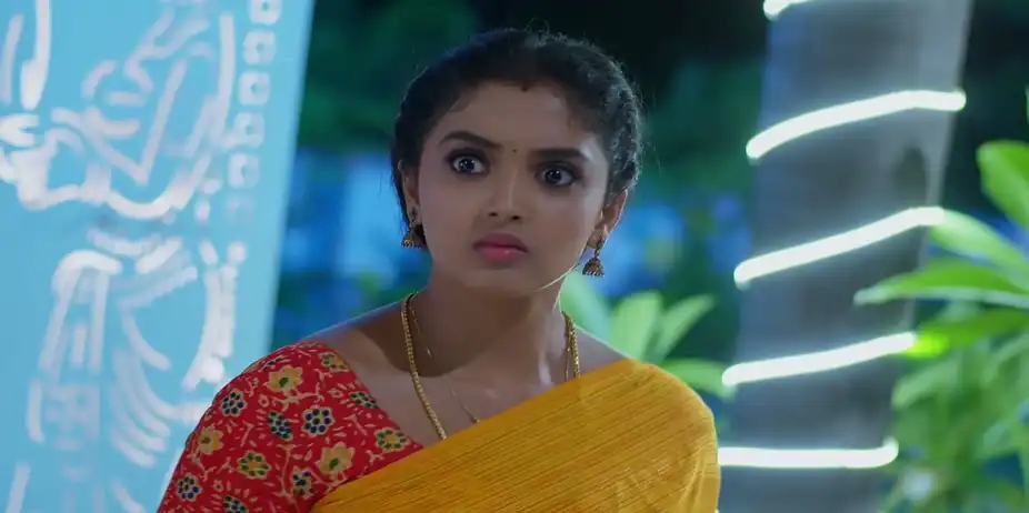 Meghasandesam - July 08, 2026 - Episode Spoiler