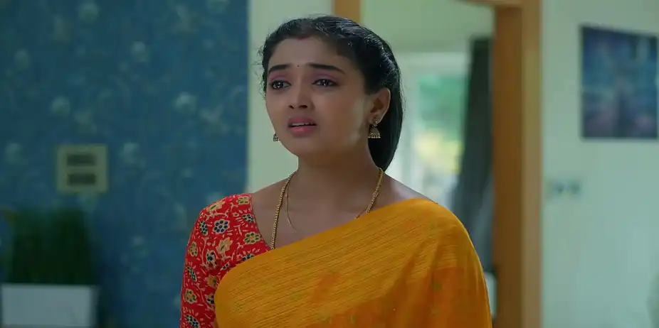 Meghasandesam - July 10, 2026 - Episode Spoiler