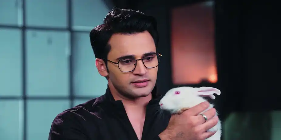 Raj’s Plan to Kill Bhoomika's Rabbit - Lakshmi Nivas