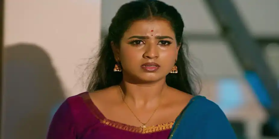 Karthigai Deepam - July 06, 2026 - Episode Spoiler