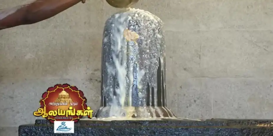 Arputham Tharum Alayangal S1 E1240 - Arputham Tharum Alayangal - Episode 1240 - February 17, 2018 - Full Episode