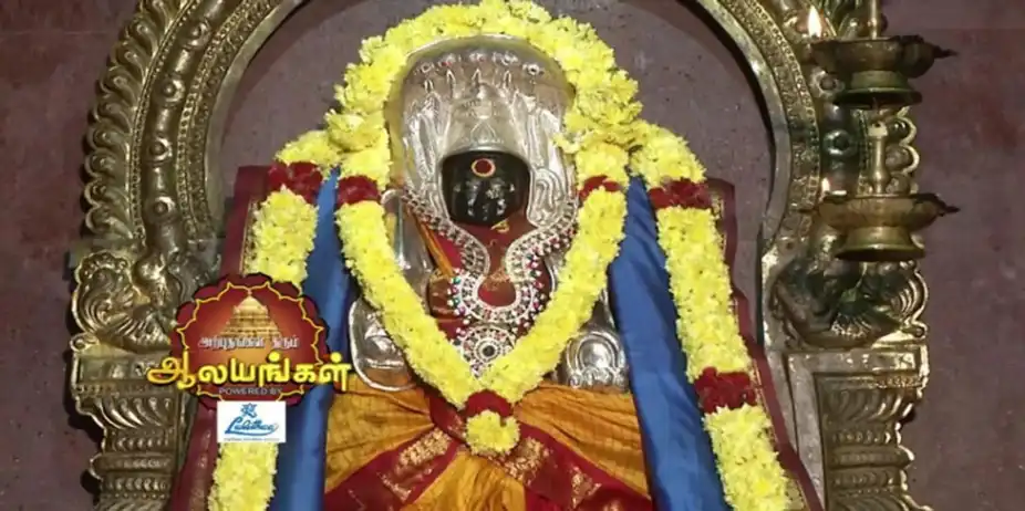 Arputham Tharum Alayangal S1 E1243 - Arputham Tharum Alayangal - Episode 1243 - February 20, 2018 - Full Episode