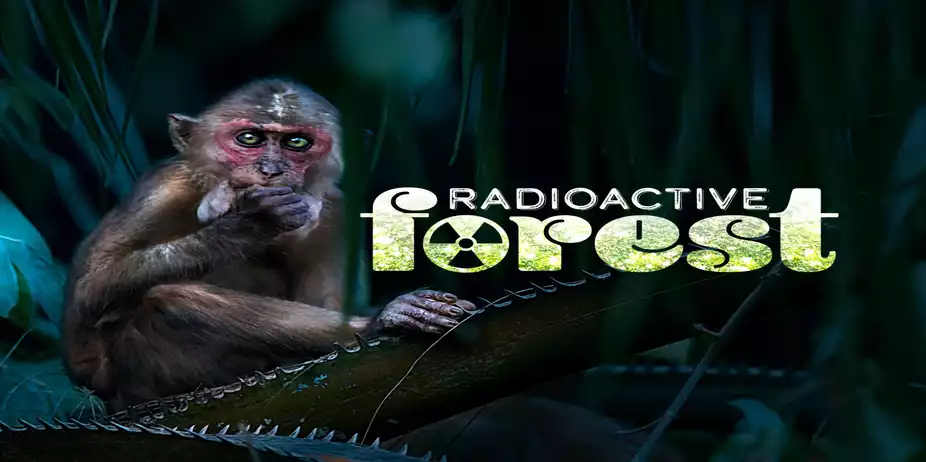 Radioactive Forest - 10 Years After