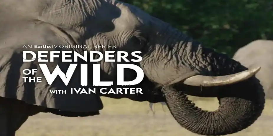 Defenders of the Wild S1 E10 - Elephants & Humans Sharing Spaces