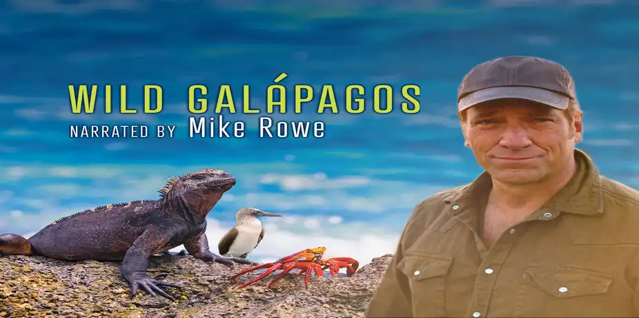 Wild Galapagos