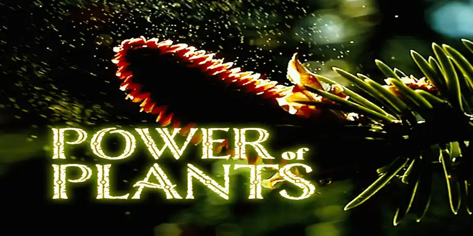 Power of Plants