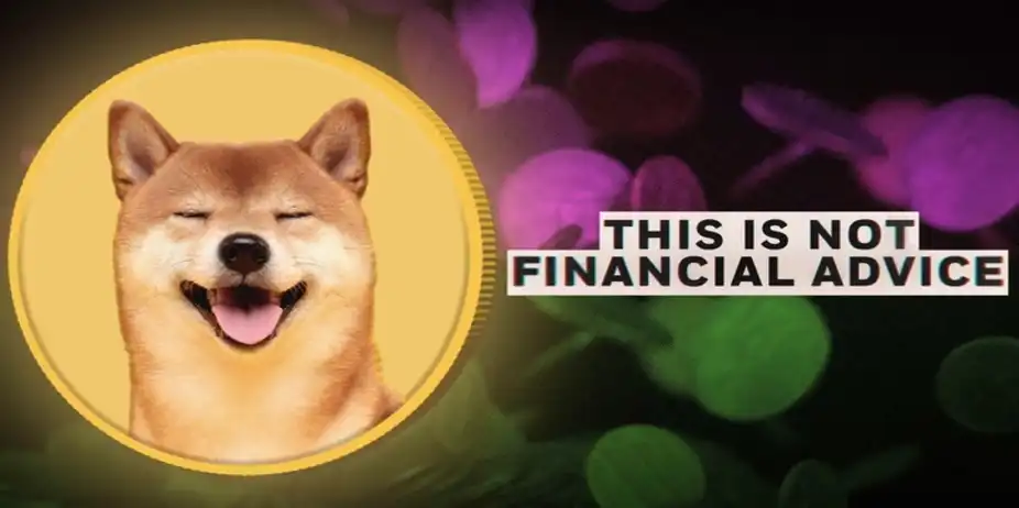 This Is Not Financial Advice