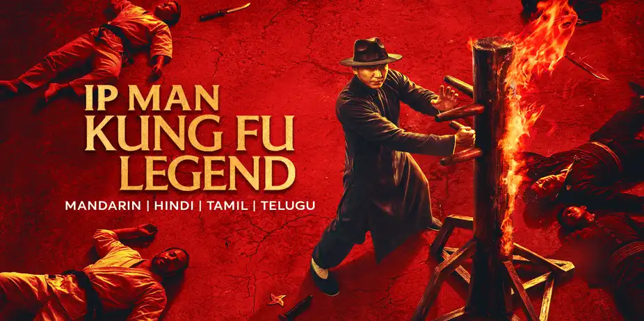 Ip Man: Kung Fu Legend