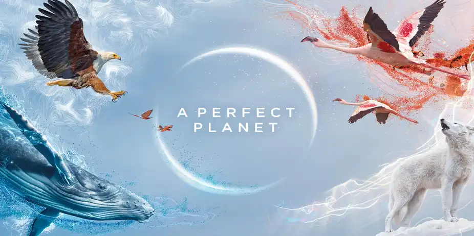 A Perfect Planet