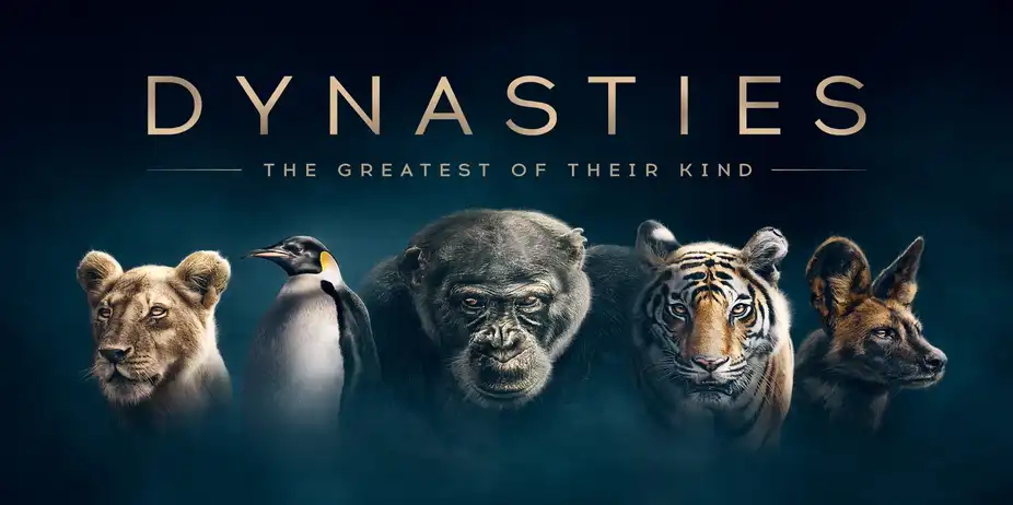 Dynasties
