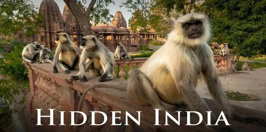 Hidden India