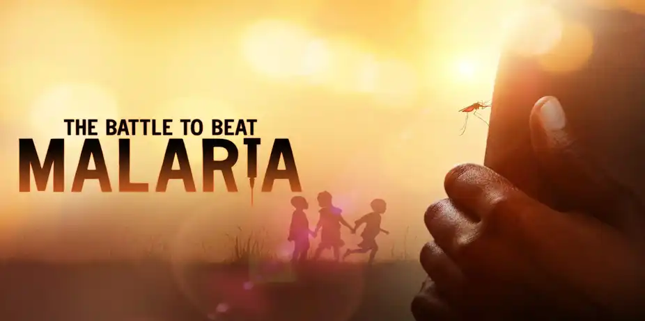 The Battle to Beat Malaria