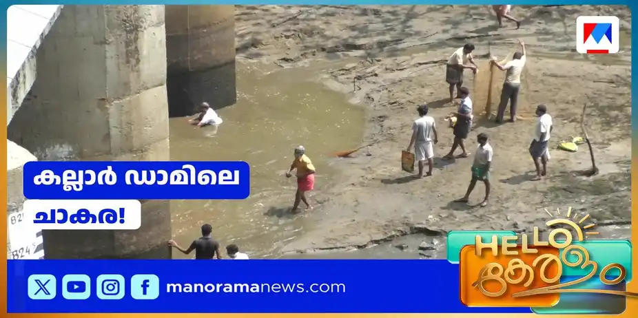 ചാക്ക് നിറയെ മീനുകള്; ഡാം തുറന്നത് കോളായി | Kallar Dam Fish