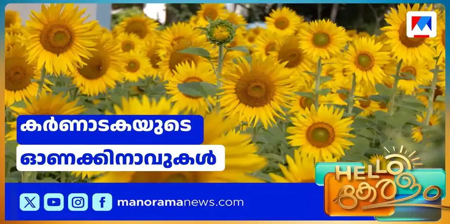 കന്നഡനാടിന്റെ അന്നം മലയാളമണ്ണിന് വസന്തം; അതിര്ത്തി കടന്നെത്തുന്ന പൂക്കാലം | Chendumally Karnataka