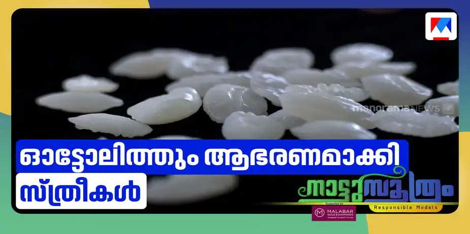 ഓട്ടോലിത്തും വരുമാനമാക്കി വനിതകള് | Vizhinjam | Nattu soothram
