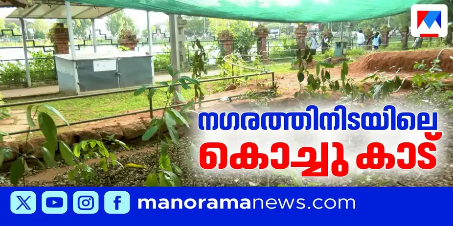 നഗരത്തിരക്കിനിടയിലും ഒരു കൊച്ചുകാട് | Miyawaki Forest