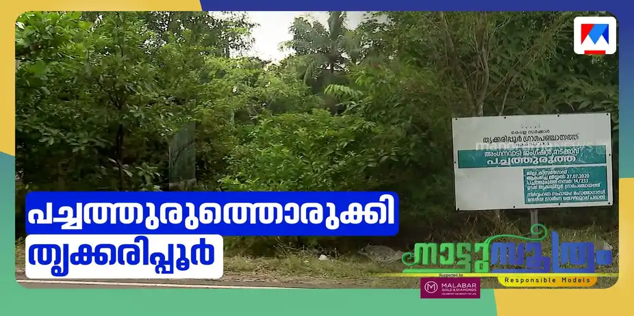 മിയാവാക്കി വനങ്ങളൊരുക്കി തൃക്കരിപ്പൂർ ഗ്രാമപഞ്ചായത്ത്; കാവ് സംരക്ഷണത്തിന്റെ ഹരിത മാതൃക | Nattusoothram