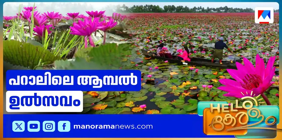 400 ഏക്കർ പാടത്തെ ആമ്പല് വസന്തം; രാവിലെ 6 മുതല് 9വരെ വള്ളത്തില് കറങ്ങാം | Changanassery