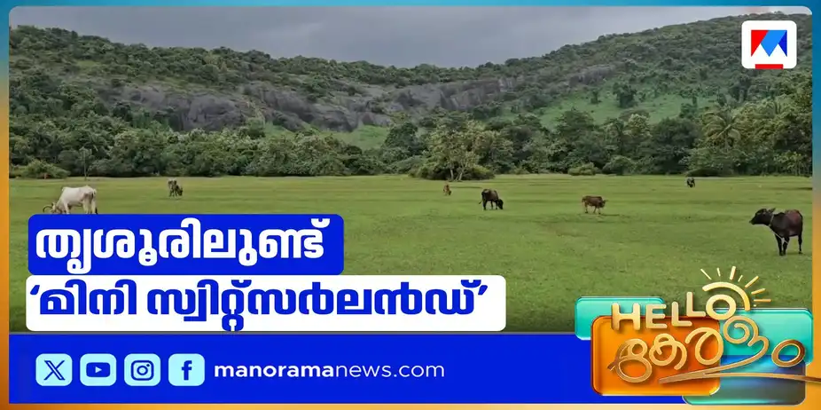 മലനിരകളും പച്ചപ്പും പശുക്കിടാങ്ങളും; തൃശൂരിലും ഉണ്ടൊരു മിനി സ്വിറ്റ്സർലൻഡ് | thrissur