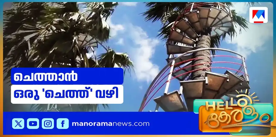 ചെത്താന് ഒരു 'ചെത്ത്' വഴി; തൂത്തുക്കുടിയിലെ വൈറല് കോണിപ്പടി | Palm Tree