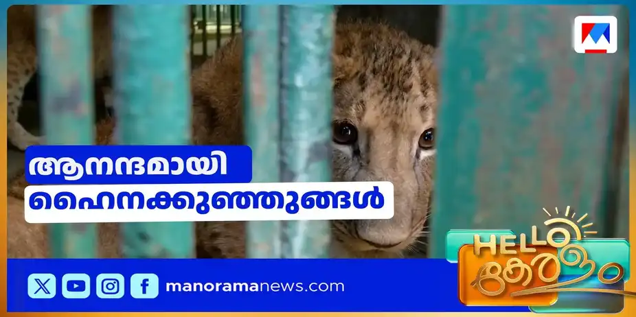 മൃഗശാല മാറ്റണമെന്ന ചര്ച്ചകള് പുറത്ത്; അകത്ത് ഇരട്ട കുഞ്ഞുങ്ങളുടെ പിറവിയിലെ സന്തോഷം | zoo