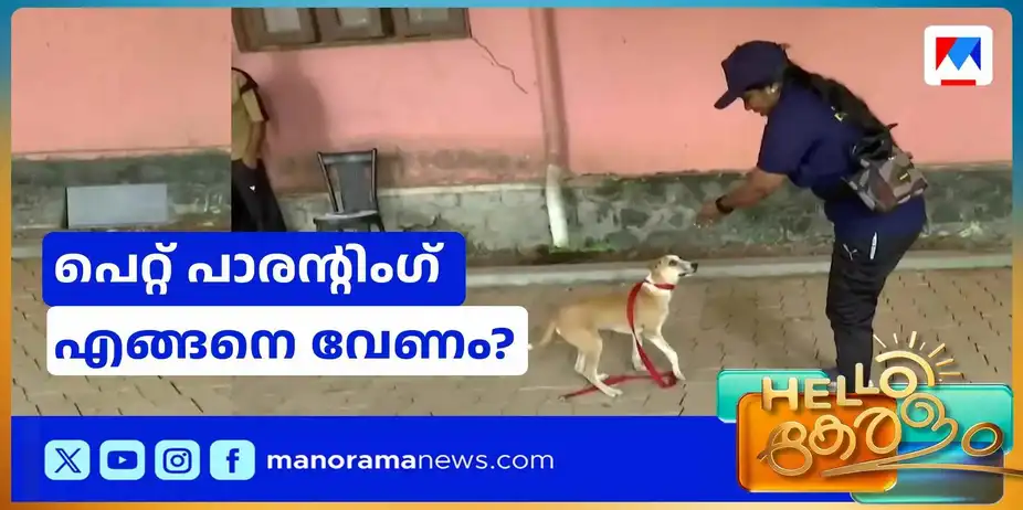 നായകളെ പരിചരിക്കാന്‍ സര്‍ക്കാര്‍ പരിശീലനം; പെറ്റ് പാരന്റിംഗ് എങ്ങനെ വേണം? | Pet Parenting